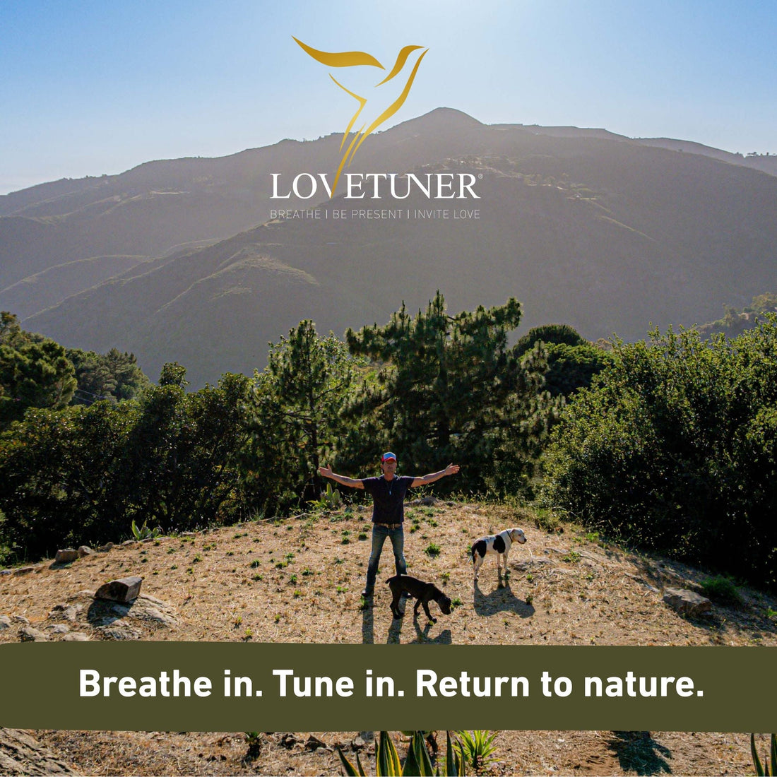Tuning to Connect with Your Animal in Nature