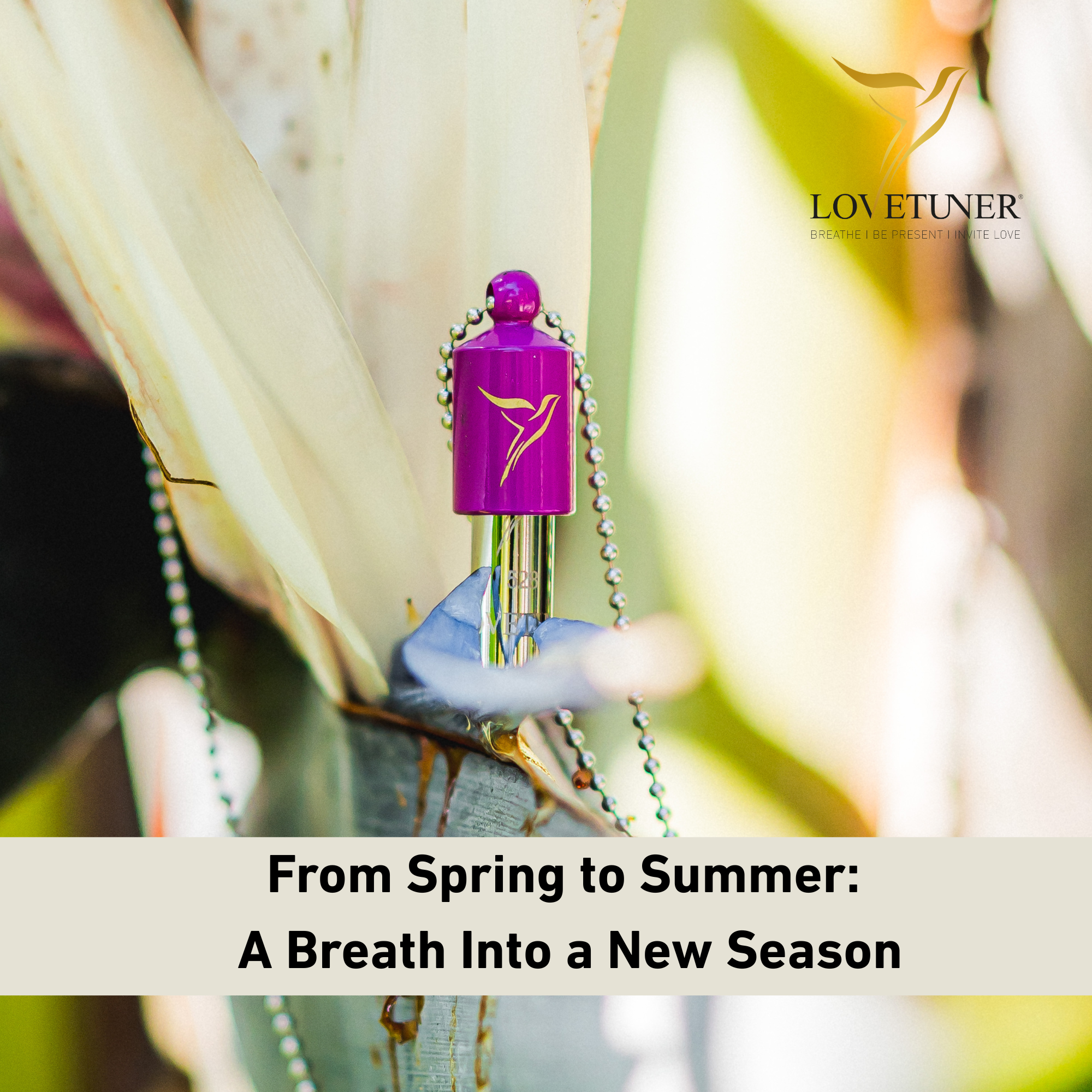 From Spring to Summer: A Breath Into a New Season