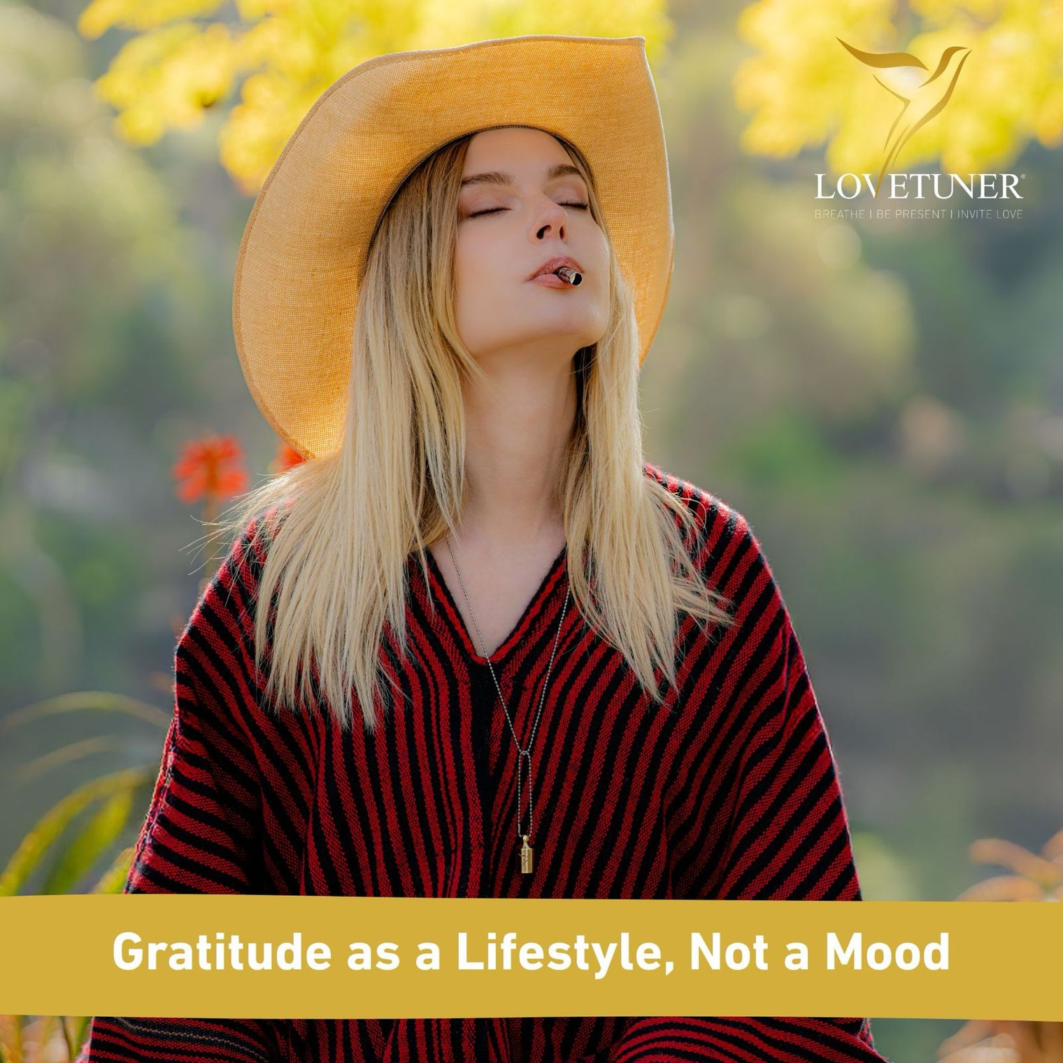 Gratitude and the 528 Hz Lovetuner: A Complete Guide to Raising Your Frequency