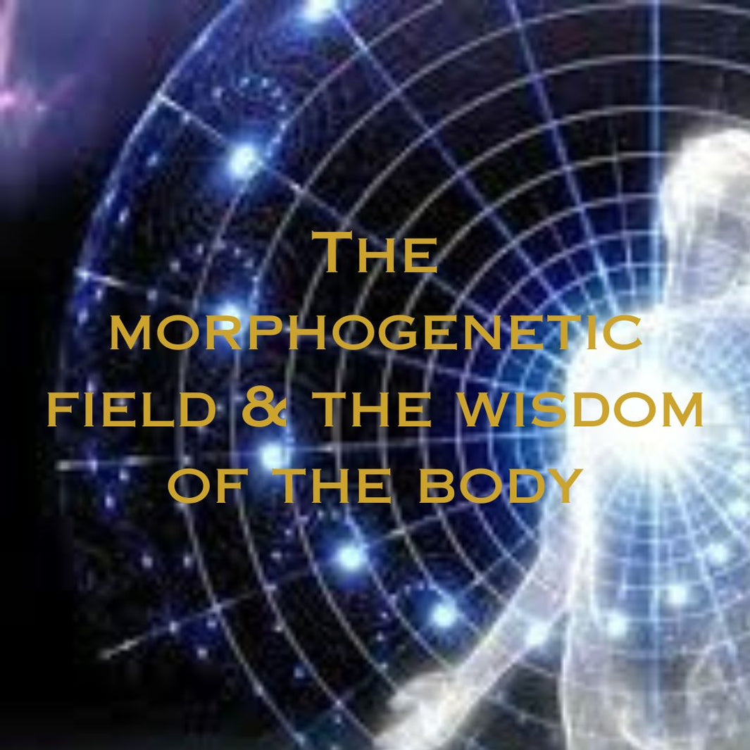 The Morphogenetic Field & the Wisdom of the Body