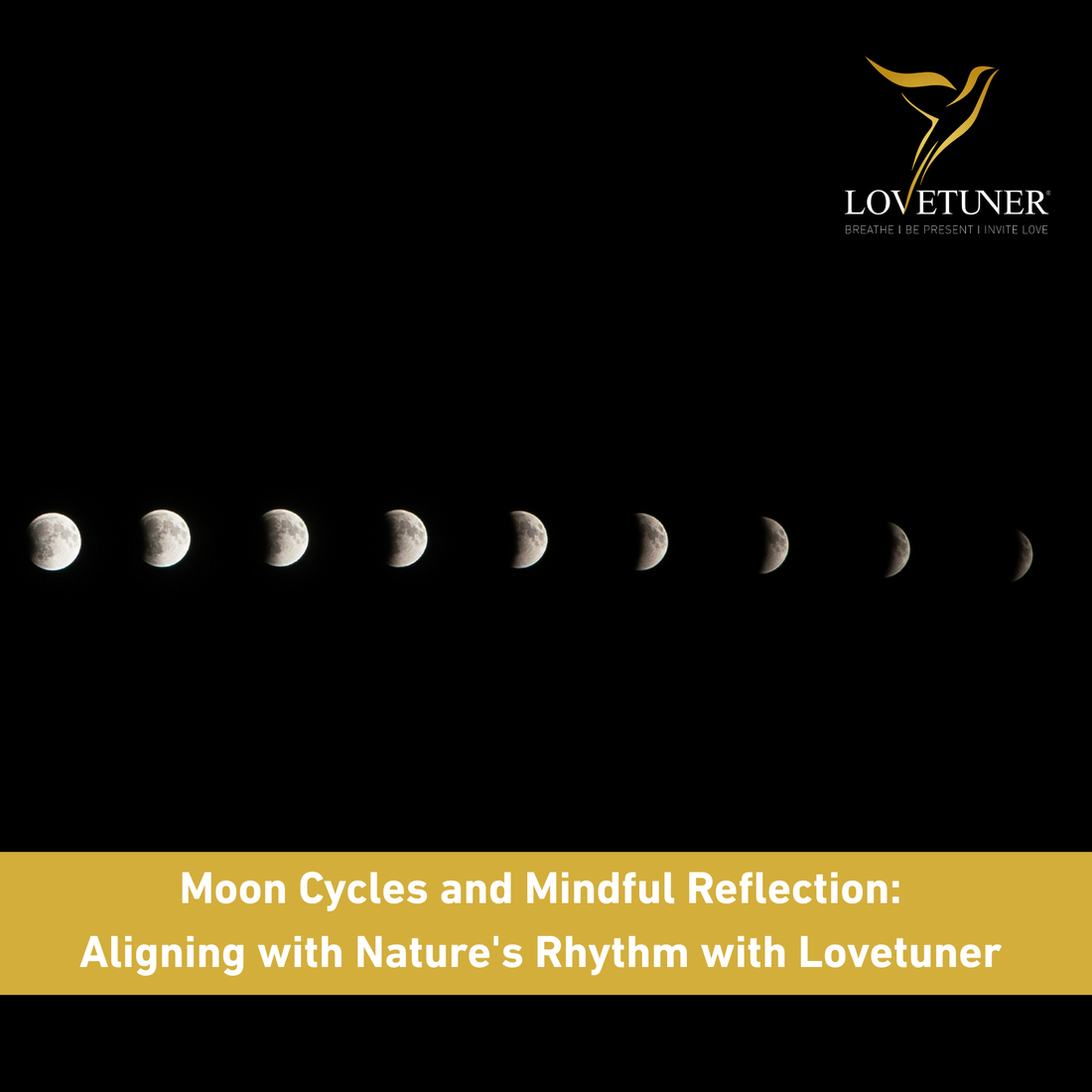 Moon Cycles and Mindful Reflection: Aligning with Nature's Rhythm with Lovetuner 🌙✨