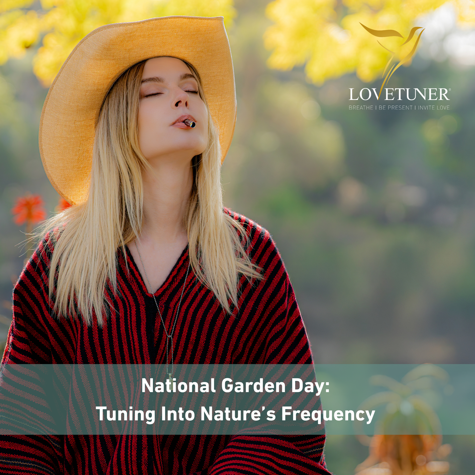 National Garden Day: Tuning Into Nature’s Frequency 🌿