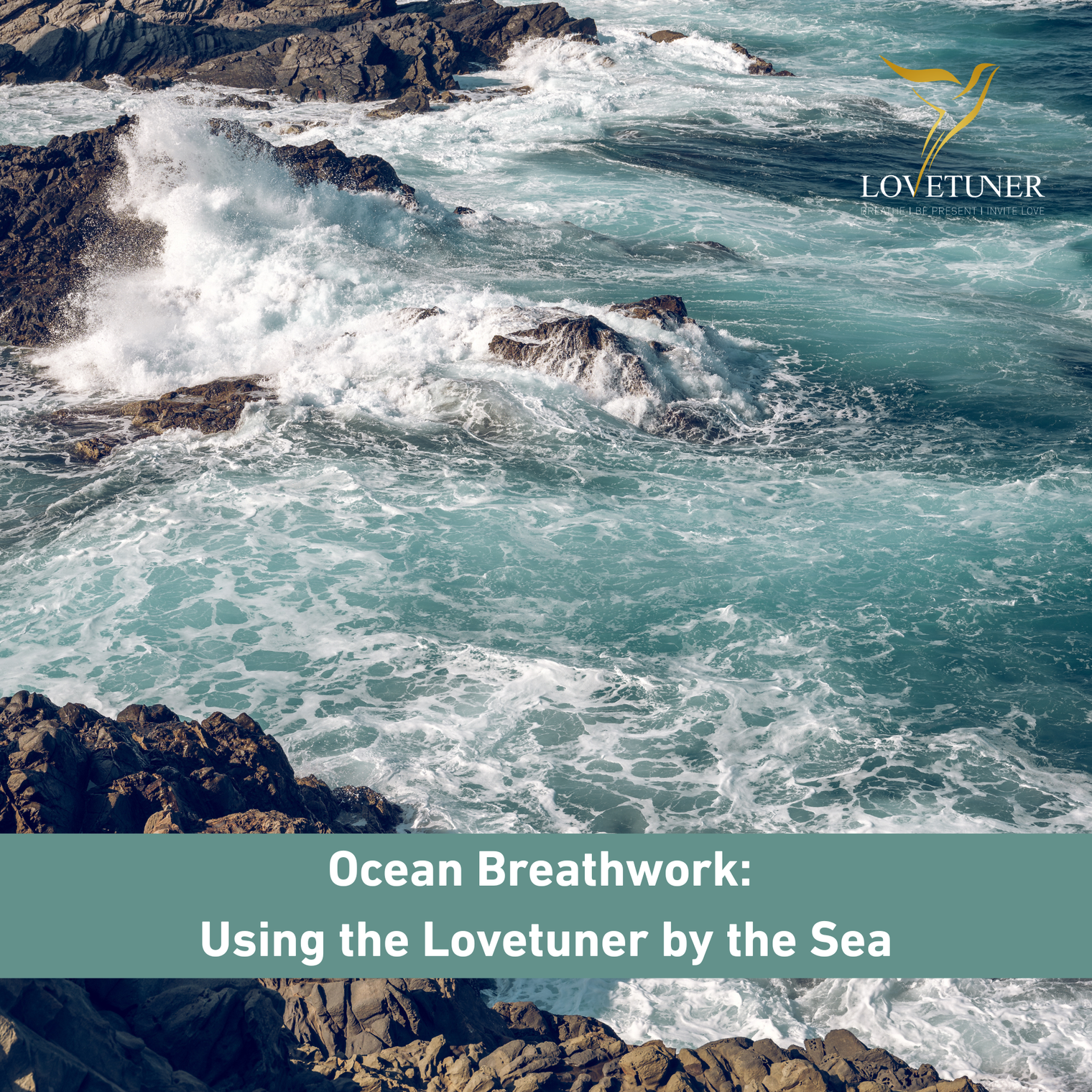Ocean Breathwork: Using the Lovetuner by the Sea
