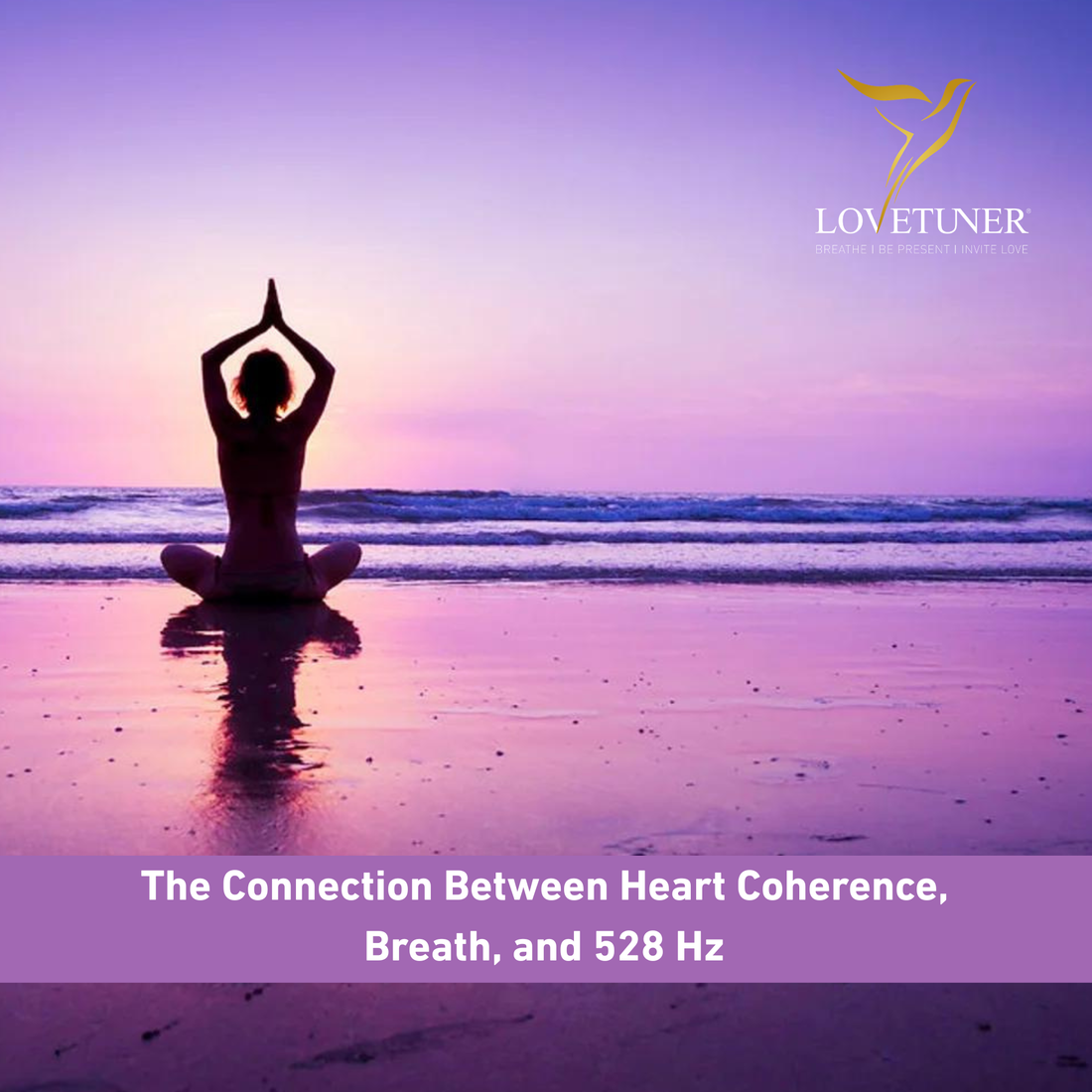 The Connection Between Heart Coherence, Breath, and 528 Hz