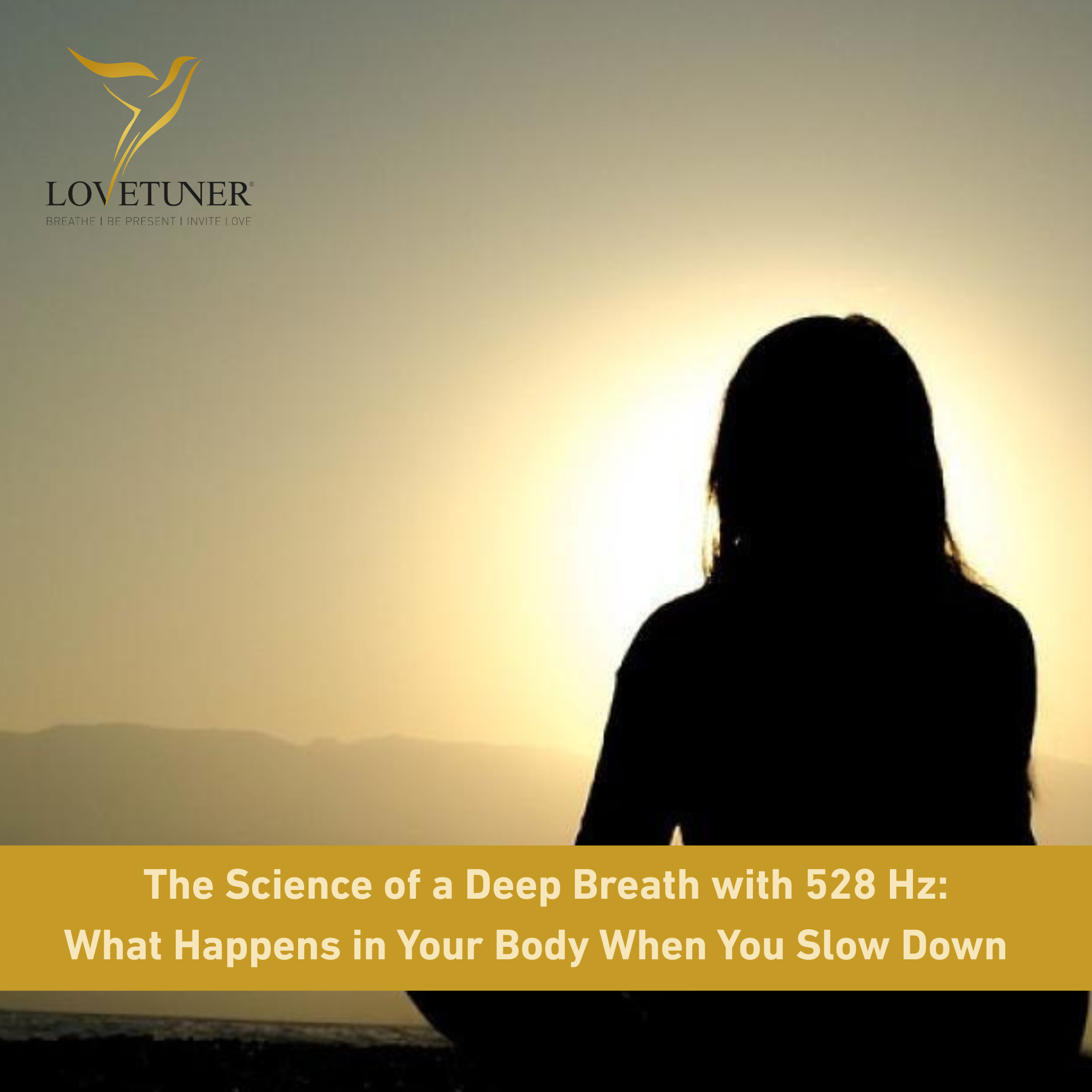 The Science of a Deep Breath: What Happens in Your Body When You Slow Down