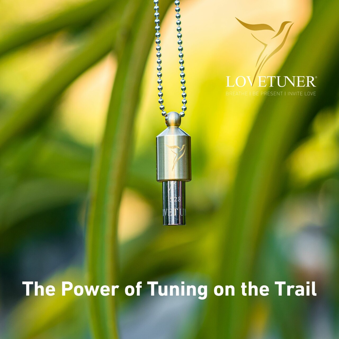 Tuning Into Nature: A Summer Hiking Ritual with the Lovetuner
