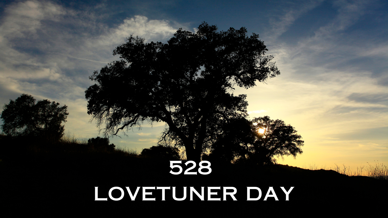 528 LOVETUNER DAY