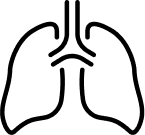 A simple line drawing of a pair of lungs