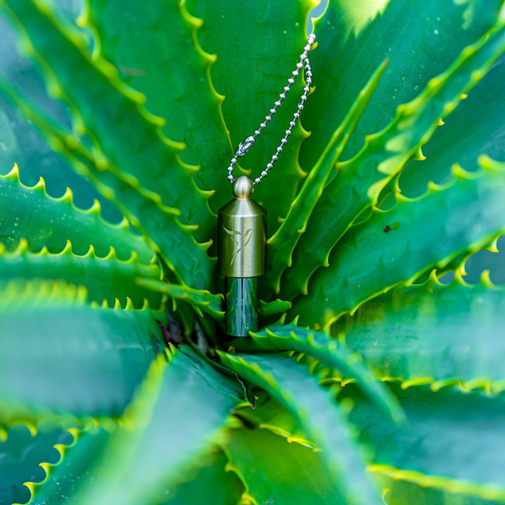 Bronze Lovetuner on a green leaf